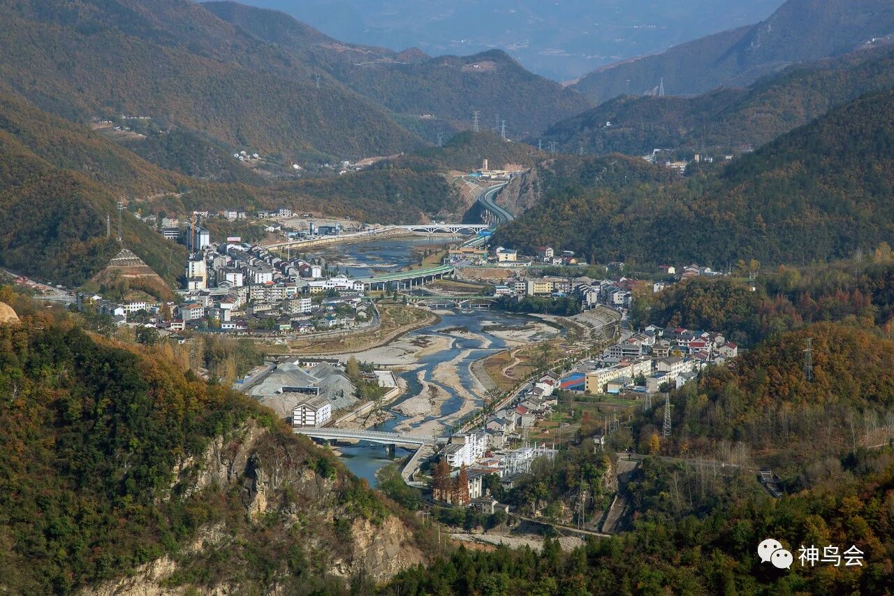 林区新鸟：针尾鸭