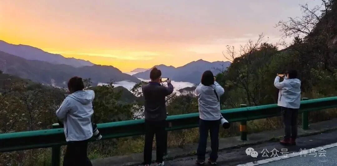 神农架观鸟吟：参加第六届&ldquo;神农架杯&rdquo;观鸟活动有感
