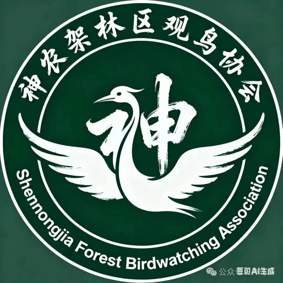 有奖征集&ldquo;神农架林区观鸟协会&rdquo;会徽方案！