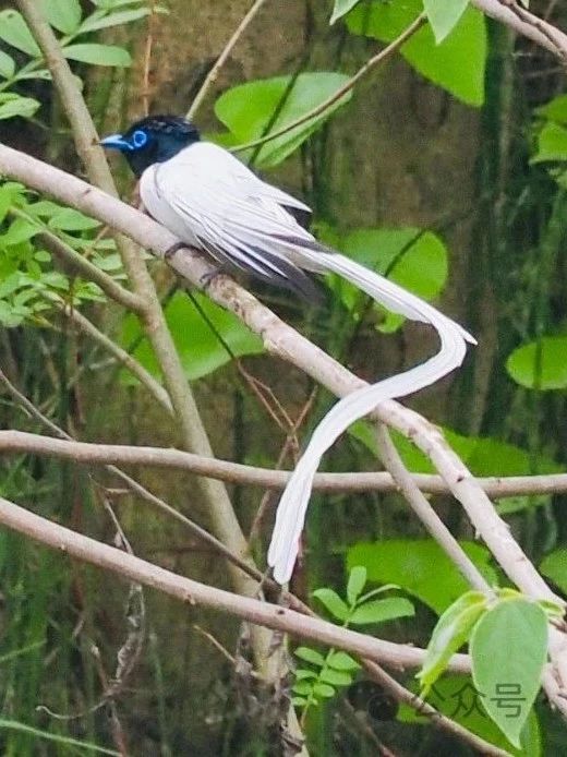 2025浅滩、青草和风物之美（再续）