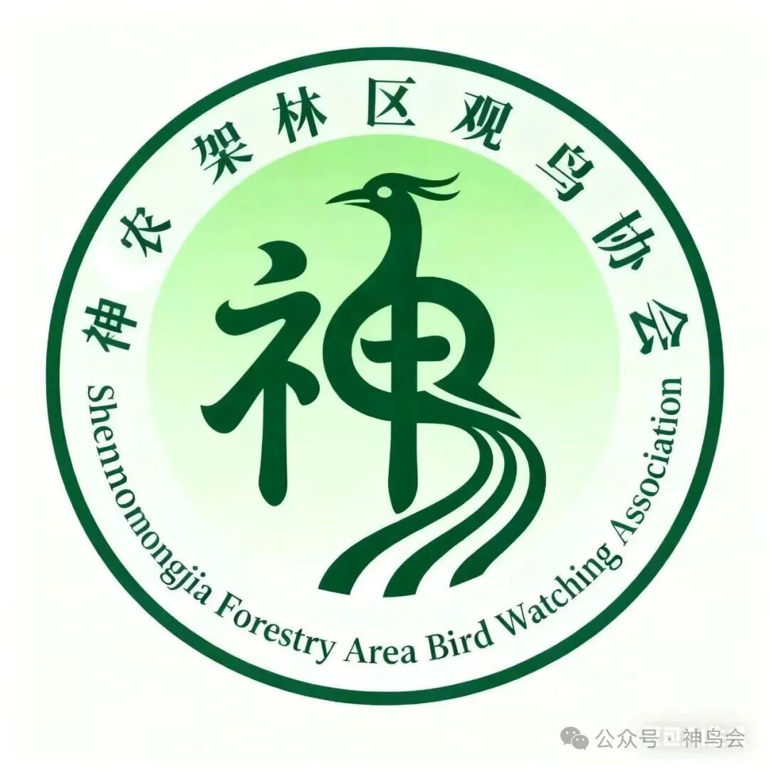有奖征集&ldquo;神农架林区观鸟协会&rdquo;会徽方案！
