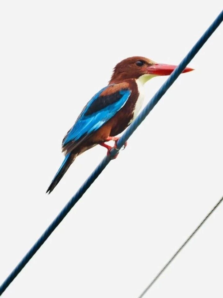 2025浅滩、青草和风物之美（再续）