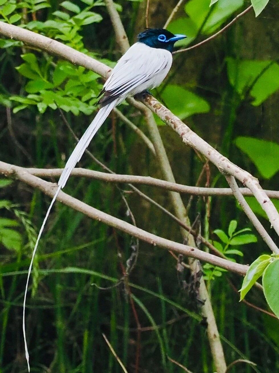 2025浅滩、青草和风物之美（再续）