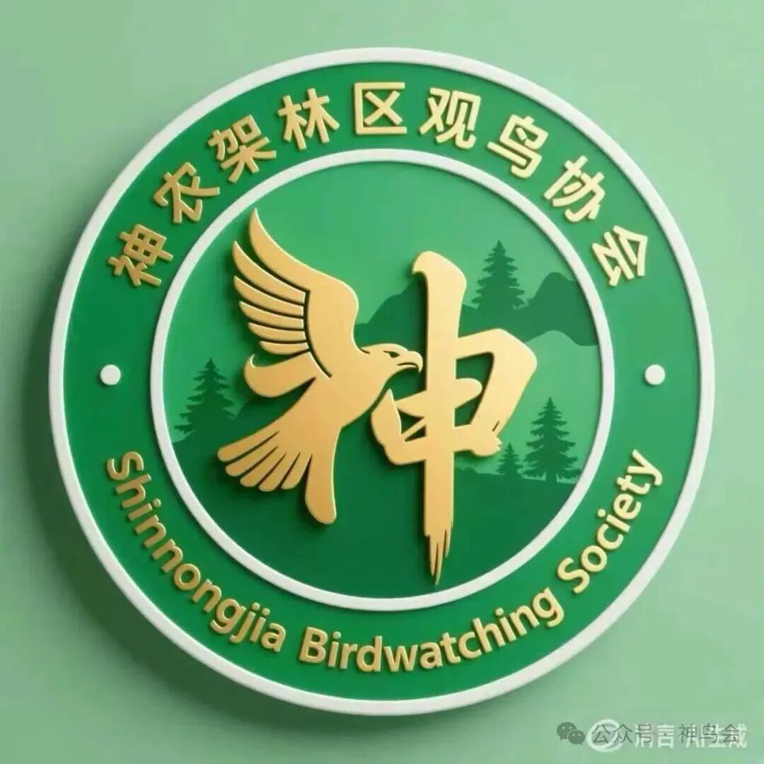 有奖征集&ldquo;神农架林区观鸟协会&rdquo;会徽方案！