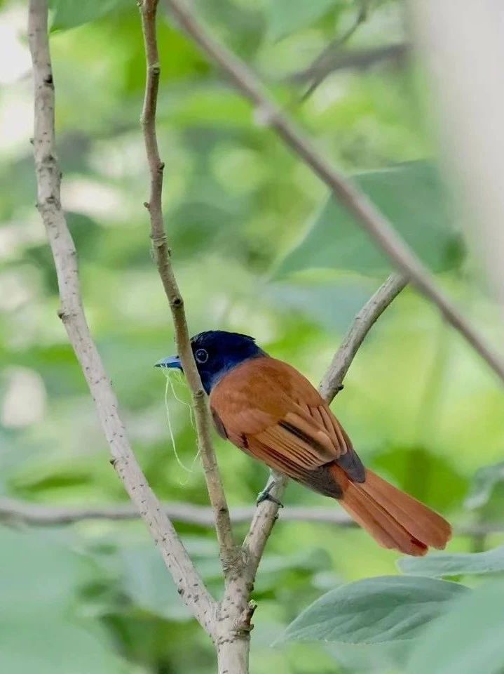 2025浅滩、青草和风物之美（再续）