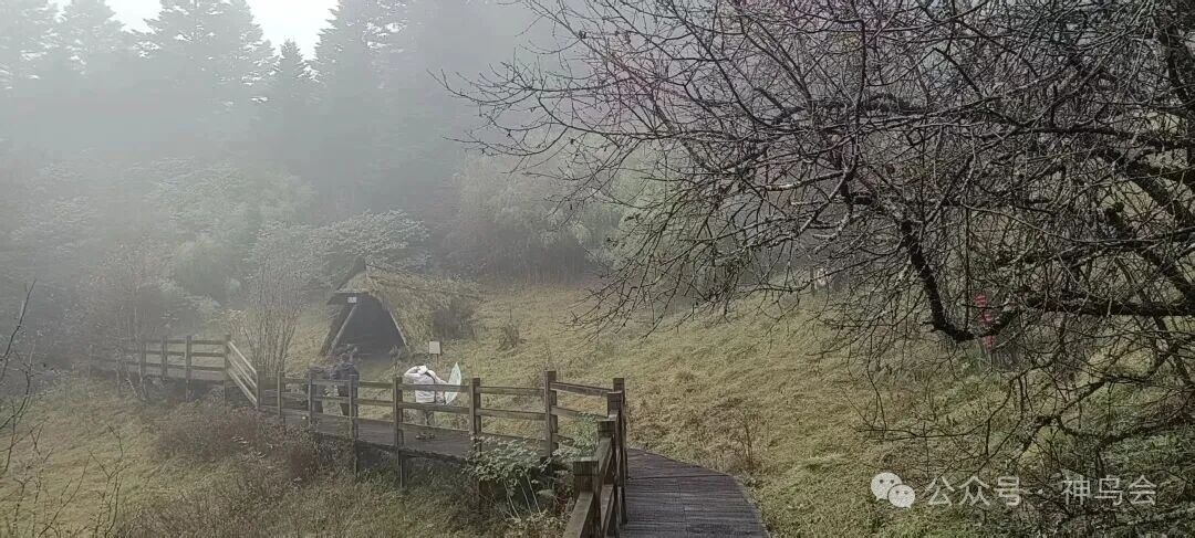 神农架观鸟吟：参加第六届&ldquo;神农架杯&rdquo;观鸟活动有感